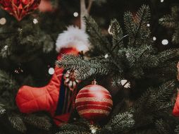 Hay varias tiendas que ofrecen árboles de navidad con descuento. UNSPLASH / A. SPRATT
