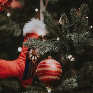 Liverpool: estos son los árboles de Navidad que puedes adquirir con descuento