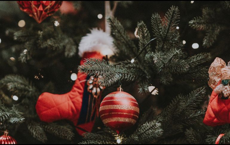 Hay varias tiendas que ofrecen árboles de navidad con descuento. UNSPLASH / A. SPRATT