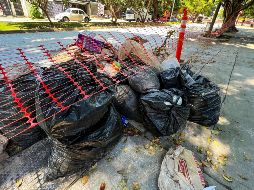 El primer Punto Verde se ubicará en Tlaquepaque y comenzará sus funciones en 2024. EL INFORMADOR / ARCHIVO