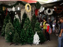 Si estás buscando un árbol de Navidad, te decimos donde puedes comprarlo a un precio económico. EL IFNROMADOR/ ARCHIVO.