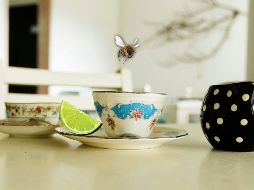 En México, la miel con limón se considera un remedio casero eficaz para tratar la tos y los síntomas del resfriado común. EL INFORMADOR / ARCHIVO