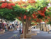 El paseo Alcalde será una de las vialidades afectadas por el cruce de eventos deportivos. ESPECIAL / Gobierno de Jalisco