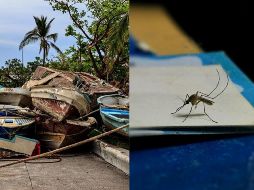 La Secretaría de Salud exhortó a la población a evitar la automedicación y solicitar atención médica ante cualquier síntoma. ESPECIAL / UNSPLASH / EFE