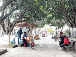 Tapalpa destaca por su hospitalidad con el turismo. EL INFORMADOR/ P. Gallardo