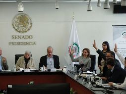 La Comisión de Justicia del Senado avaló la idoneidad de las tres candidatas propuestas por el Presidente de México, Andrés Manuel López Obrador. SUN / D. Sánchez