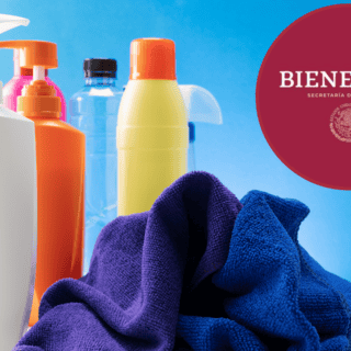 ¿Qué personas reciben apoyo único del Bienestar hasta el 8 de diciembre?