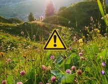 El equipo de investigación se conformó con investigadores de 11 países. UNSPLASH /Y. BEHR