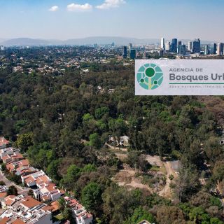 Asiste a este recorrido por el Bosque Colomos