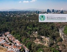 El Bosque Los Colomos es el zona arbolada principal de la ZMG. El Informador / Archivo