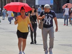 De acuerdo con la dependencia, se estima que haya precipitaciones por arriba del promedio en el noroeste y sureste del país. EL INFORMADOR/ ARCHIVO.