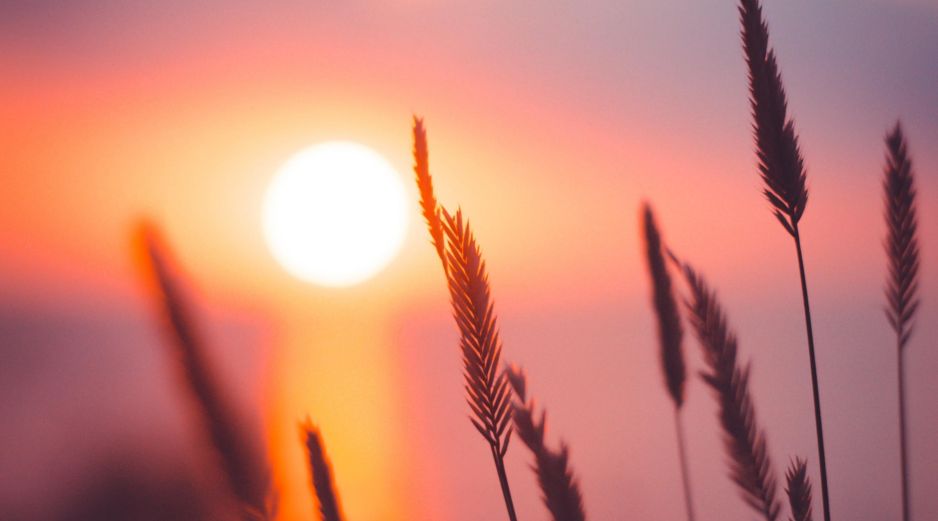 El solsticio de invierno es un fenómeno astronómico que se presenta debido a la inclinación del eje terrestre, la cual es de aproximadamente 23.5 grados. UNSPLASH / A. Savchenko