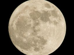 Tenemos Luna llena cuando el lado de la Luna que mira hacia la Tierra está completamente iluminado por el Sol. UNSPLASH / P. LASTRA