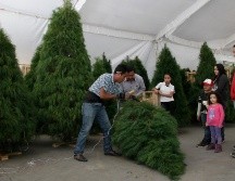 El árbol de Navidad representa la festividad de la temporada y colabora a la generación de un ambiente ideal para acercar a la familia, además de que se convierte en el depósito de regalos. NTX / ARCHIVO