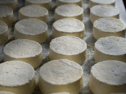 El queso es un alimento que ha desempeñado un papel crucial en la sociedad /UNSPLASH