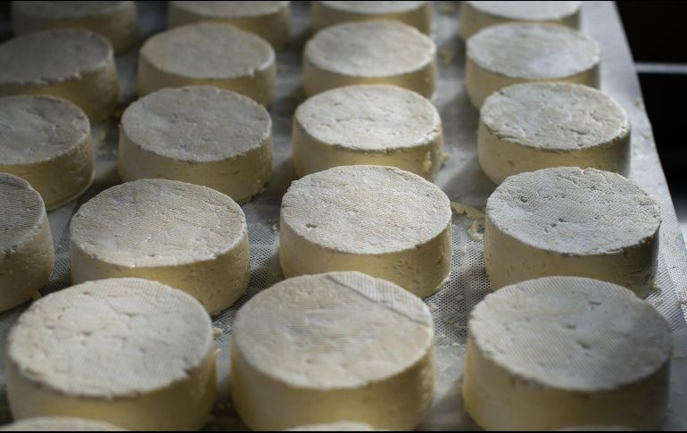 El queso es un alimento que ha desempeñado un papel crucial en la sociedad /UNSPLASH