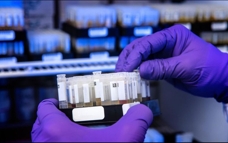 Existen iniciativas que buscan abonar en la difusión de información, así como acciones concretas de prevención y tratamiento, aquí te decimos dónde. UNSPLASH / CDC