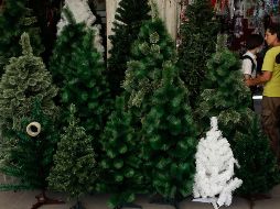 Los precios de los árboles de Navidad varían en tipos, tamaños y colores. EL INFORMADOR / ARCHIVO