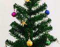 Su importancia es tal, que de acuerdo con la tradición hay un día específico en el que se debería colocar el árbol de Navidad. UNSPLASH / J. Antony