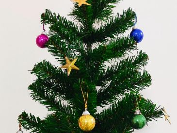 Su importancia es tal, que de acuerdo con la tradición hay un día específico en el que se debería colocar el árbol de Navidad. UNSPLASH / J. Antony