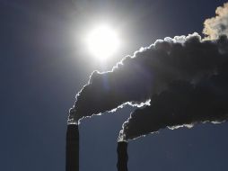 Estas dos plataformas se suman a los 15 programas nacionales que el Banco pondrá en marcha en los próximos 18 meses. EFE / ARCHIVO