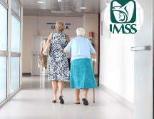 Con tu Constancia de Vigencia entérate si aún te encuentras dado de alta en el IMSS. ESPECIAL/ Pixabay