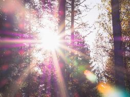 El Acuerdo de París tiene por objetivo que la elevación media de las temperaturas no supere los 1,5 grados. ESPECIAL / UNSPLASH