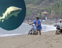 La muerte de María Fernanda representa una tragedia histórica en Jalisco; nunca se había vivido algo así en Melaque. EL INFORMADOR/ ARCHIVO