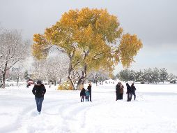 Navidad 2023. Existen zonas en México, como Chihuahua, donde en ocasiones sí se registra la caída de nieve. EFE / ARCHIVO