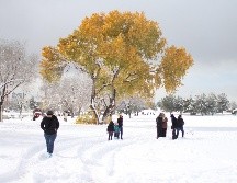 Navidad 2023. Existen zonas en México, como Chihuahua, donde en ocasiones sí se registra la caída de nieve. EFE / ARCHIVO
