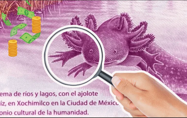 Entre la amplia gama de billetes que despiertan el interés de los coleccionistas, uno en particular ha destacado de manera notable /ESPECIAL/ Banco de México