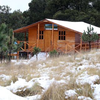Adiós al frío, este es el truco para calentar tu casa solo con papel aluminio