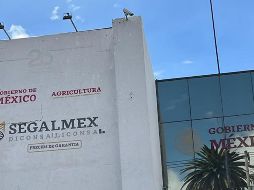 El jueves pasado, la Fiscalía General de la República confirmó que cumplió la primera de las órdenes de aprehensión en contra de Gavira. SUN / ARCHIVO