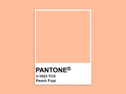 Pantone anunció que el llamado “Peach Fuzz”, un tono durazno, será el color del año 2024. ESPECIAL
