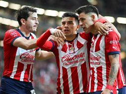 Hay dos jugadores que son utilizados con frecuencia en el esquema de Paunovic y que son importantes para el buen funcionamiento del equipo. IMAGO7/Archivo