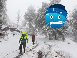El Nevado de Colima es el punto más popular donde los jaliscienses pueden ver paisajes invernales. EL INFORMADOR / ARCHIVO