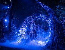 Navidalia comienza su temporada en el Parque Ávila Camacho. ESPECIAL/CORTESÍA.