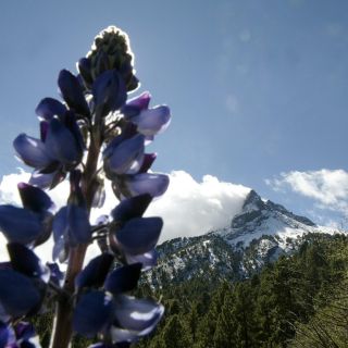 ¿Qué es la sensación térmica y qué tiene que ver con el frío?