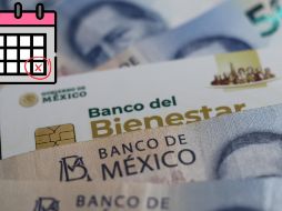 Este es la forma de registrarse a la pensión para adultos mayores del programa del bienestar. EL INFORMADOR / ARCHIVO