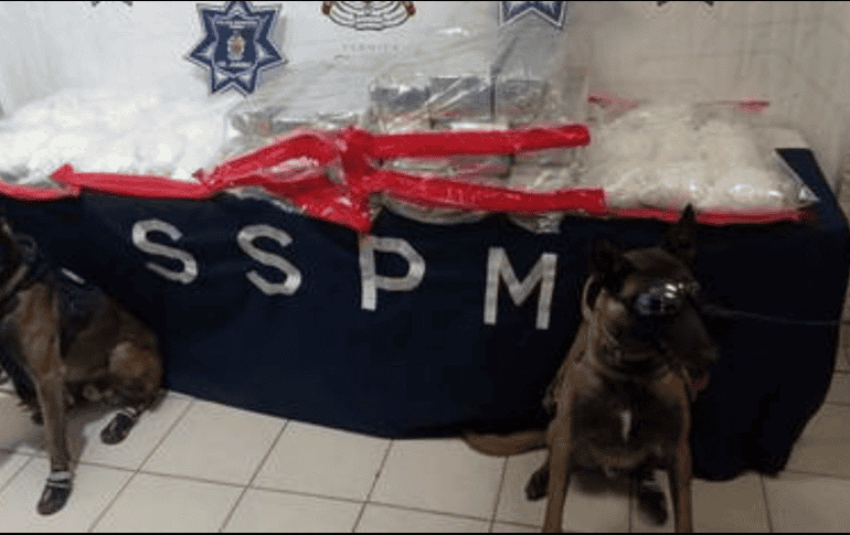 Arrestaron a Juan Antonio G. H. y Raúl C. P., por su presunta responsabilidad en la comisión de delitos contra la salud.X/@OEMParral