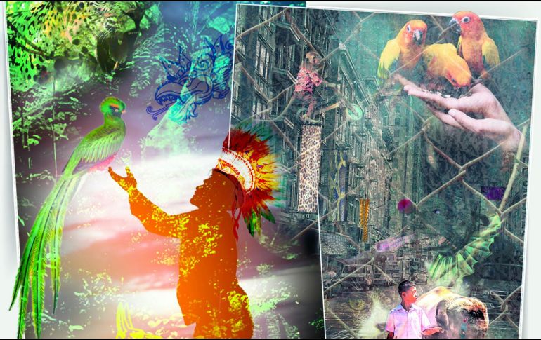 El hombre moderno se puso a sí mismo en la cúspide de la naturaleza, con el supuesto derecho de ser dueño y amo de cuanto ser se le cruce. ESPECIAL/L. García