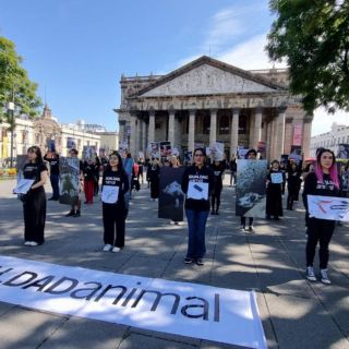 Protestan por los derechos de los animales