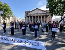 Hoy se conmemora el Día Internacional de los Derechos de los Animales. EL INFORMADOR/ J. Velazco