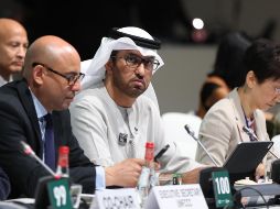 Al Yaber aseveró entonces que sus propuestas de acuerdo estaban recibiendo 