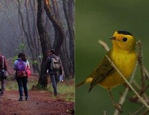 También podrás disfrutar de diversos paisajes dentro del Área Natural Protegida. ESPECIAL / SEMADET