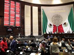 Susana Prieto, promotora de esta iniciativa, lamentó la decisión de la Jucopo. EFE