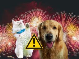 La pirotecnia emite sonidos de hasta 190 decibeles, es decir, alrededor de 110 a 115 decibelios por encima del rango donde comienza el daño para el oído humano. UNSPLASH / V. Raineil / V. Grabarczyk  / N. Karkala