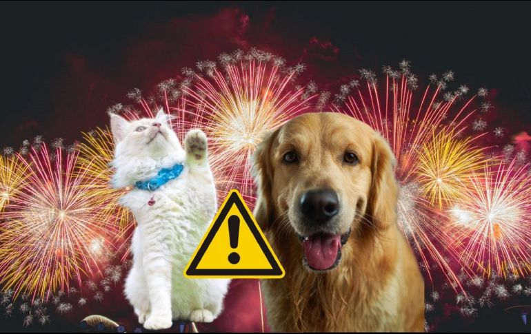 La pirotecnia emite sonidos de hasta 190 decibeles, es decir, alrededor de 110 a 115 decibelios por encima del rango donde comienza el daño para el oído humano. UNSPLASH / V. Raineil / V. Grabarczyk  / N. Karkala