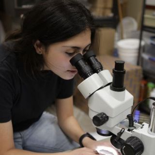 Los dos estrenos que hoy no te puedes perder en Disney+