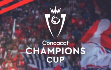 el logotipo de la vista